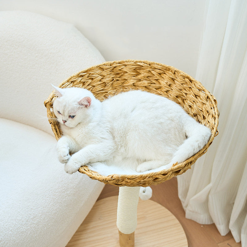 Contemporary Creative Cylindrical Bowl-Shaped Pine Camphor Tree Trunk Kraft Paper Rope PE Rattan Cat Tree & Condo 1 - Condo For Living Room
