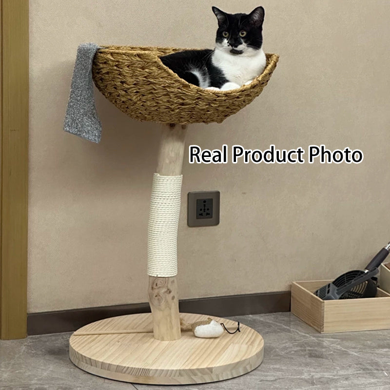 Contemporary Creative Cylindrical Bowl-Shaped Pine Camphor Tree Trunk Kraft Paper Rope PE Rattan Cat Tree & Condo 1 - Condo For Living Room
