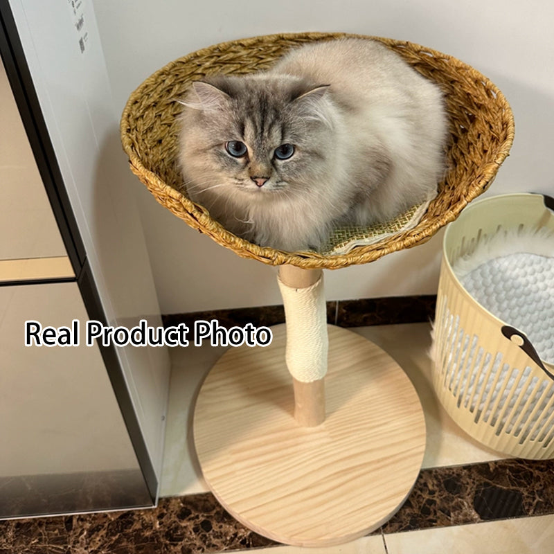 Contemporary Creative Cylindrical Bowl-Shaped Pine Camphor Tree Trunk Kraft Paper Rope PE Rattan Cat Tree & Condo 1 - Condo For Living Room