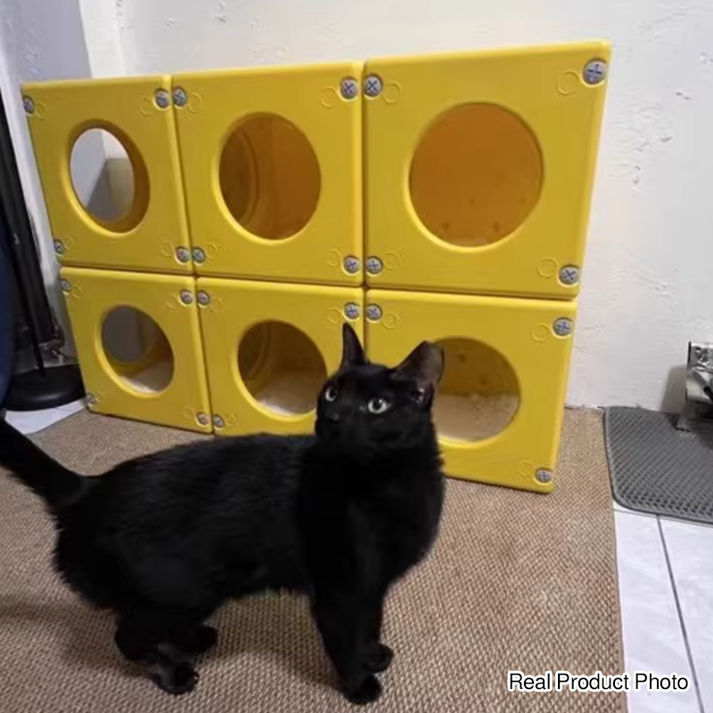 Modern Minimalist Resin PET Square Cat Bed 1-Toy Ball & Interchangeable Design For Living Room & Bedroom