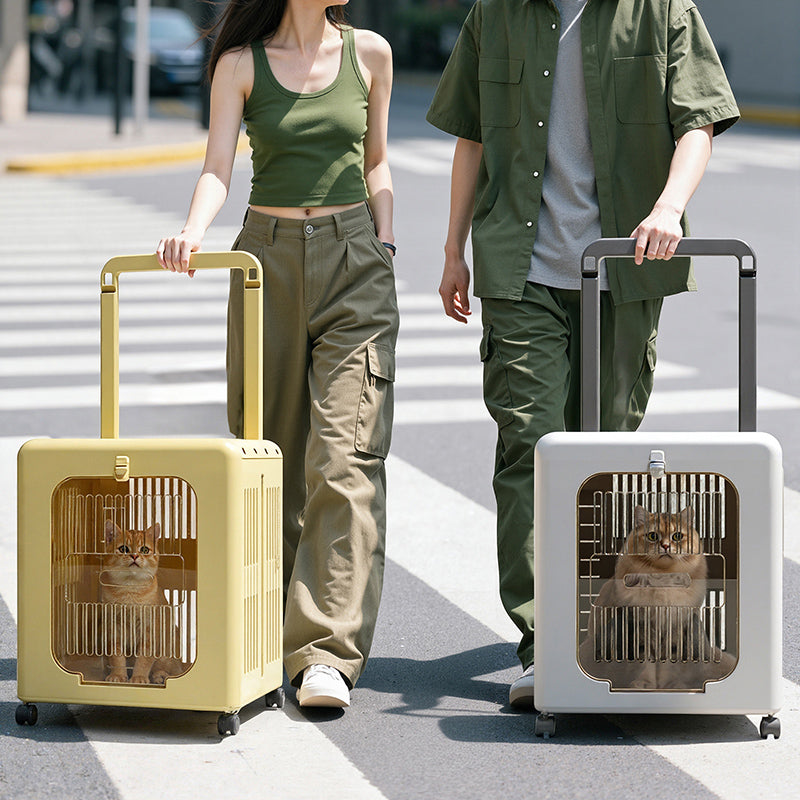 Modern Minimalist ABS PP Rectangular Movable Foldable Cat Travel Carrier Cat Bed For Outdoor