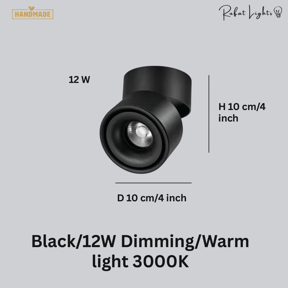 Dimmable Ceiling Light 360 Degree