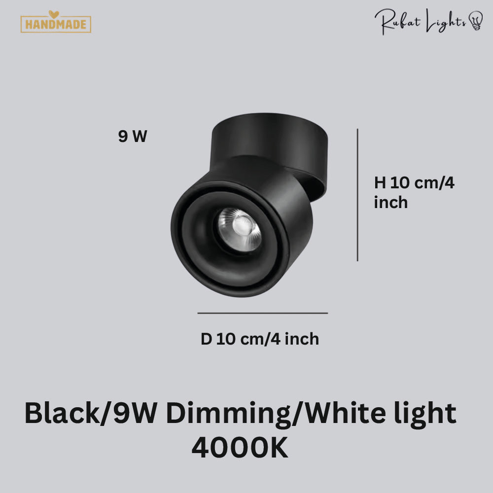 Dimmable Ceiling Light 360 Degree