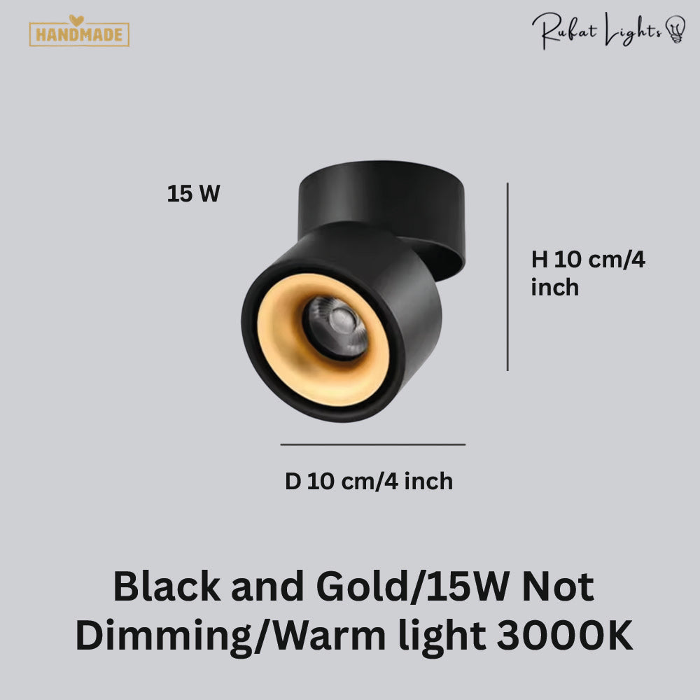 Dimmable Ceiling Light 360 Degree