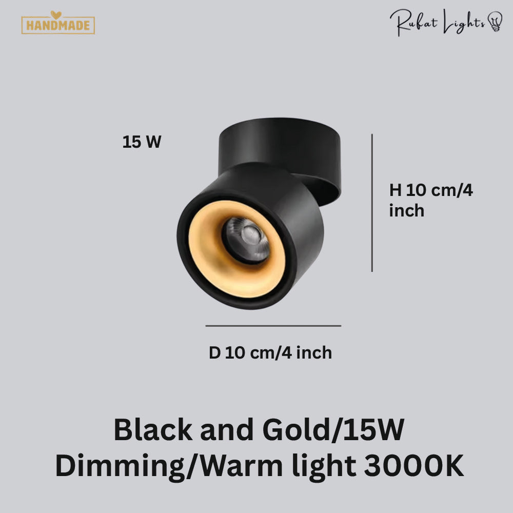 Dimmable Ceiling Light 360 Degree