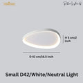 Simple Decorative Buble LED Chandelier Lights