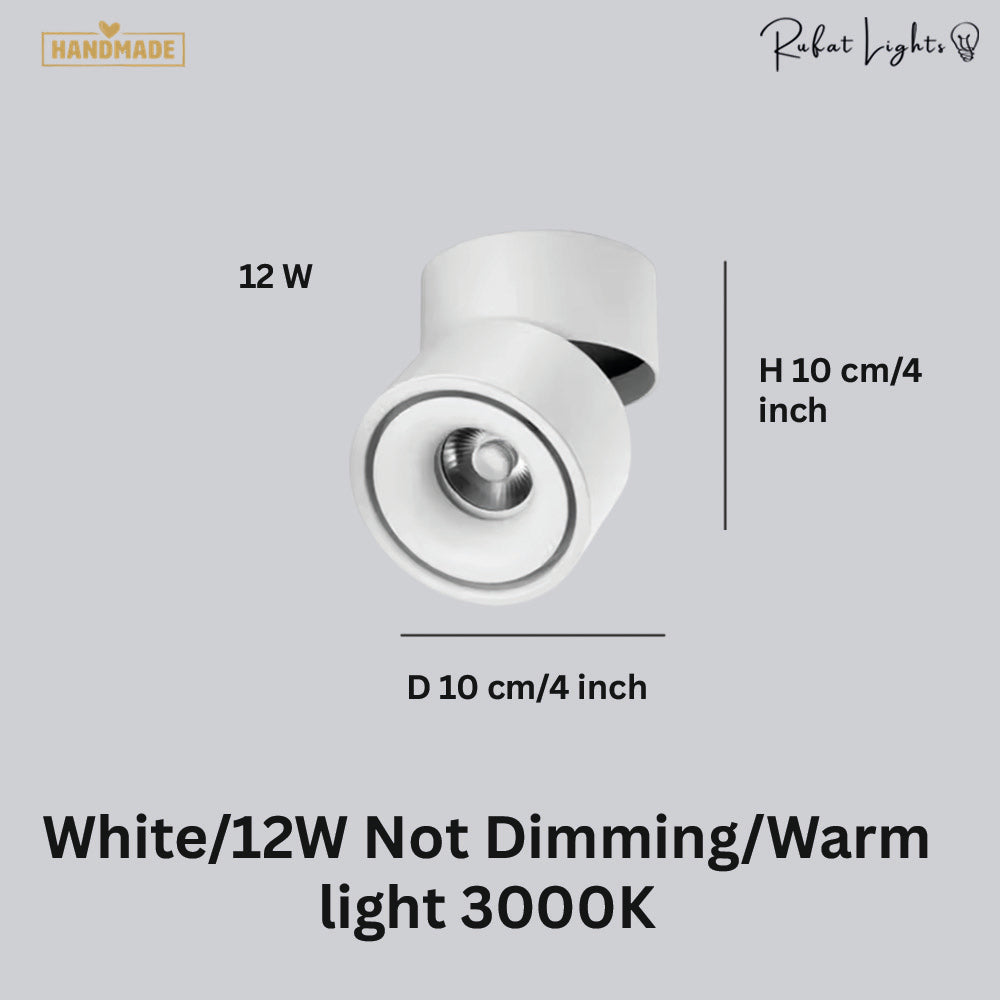 Dimmable Ceiling Light 360 Degree
