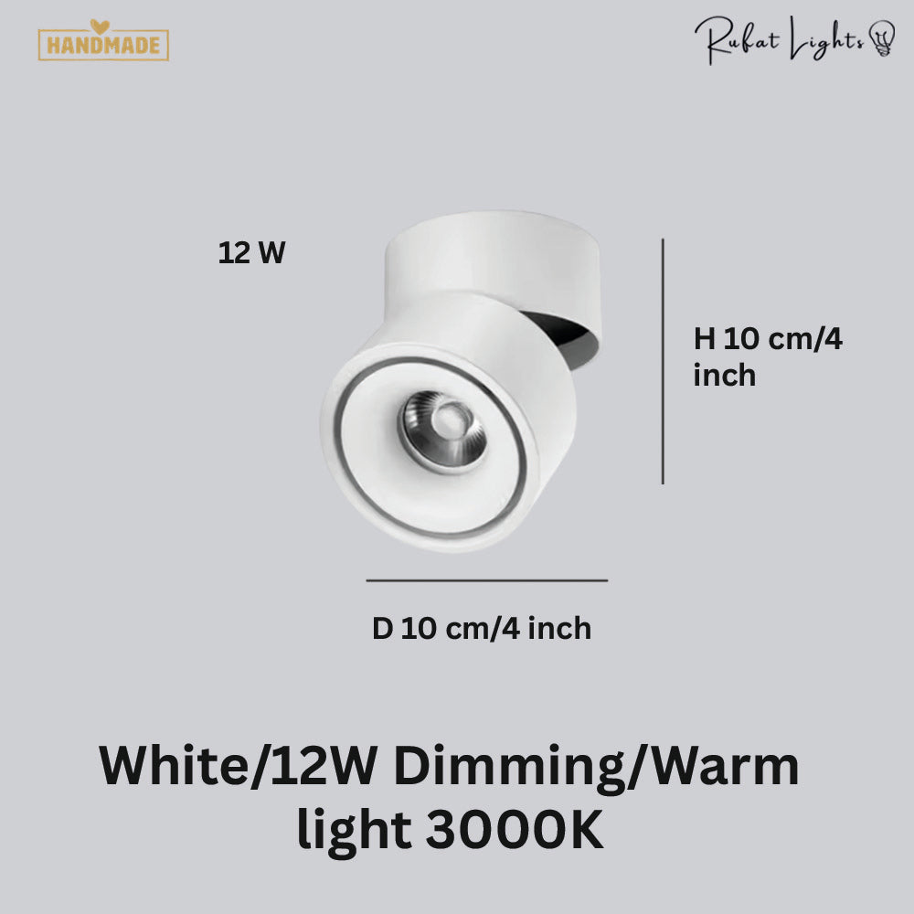Dimmable Ceiling Light 360 Degree