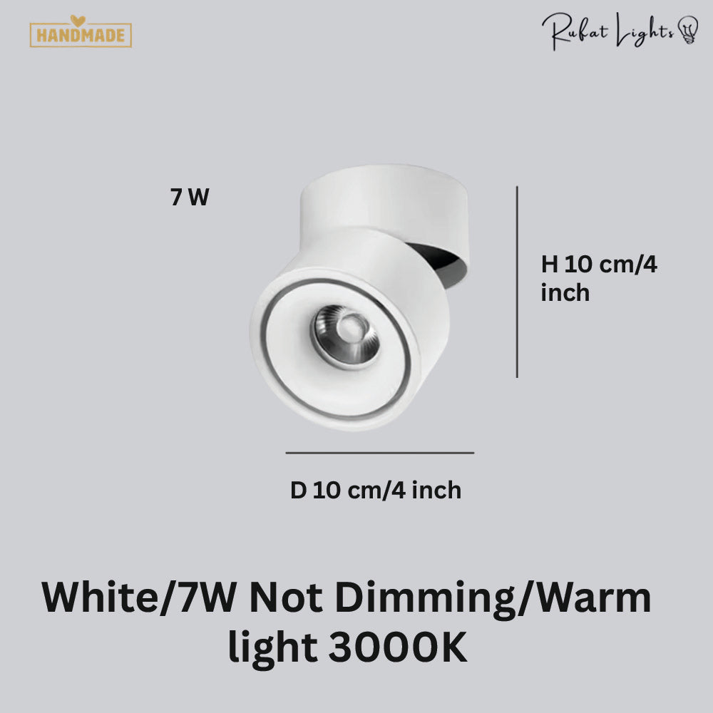 Dimmable Ceiling Light 360 Degree