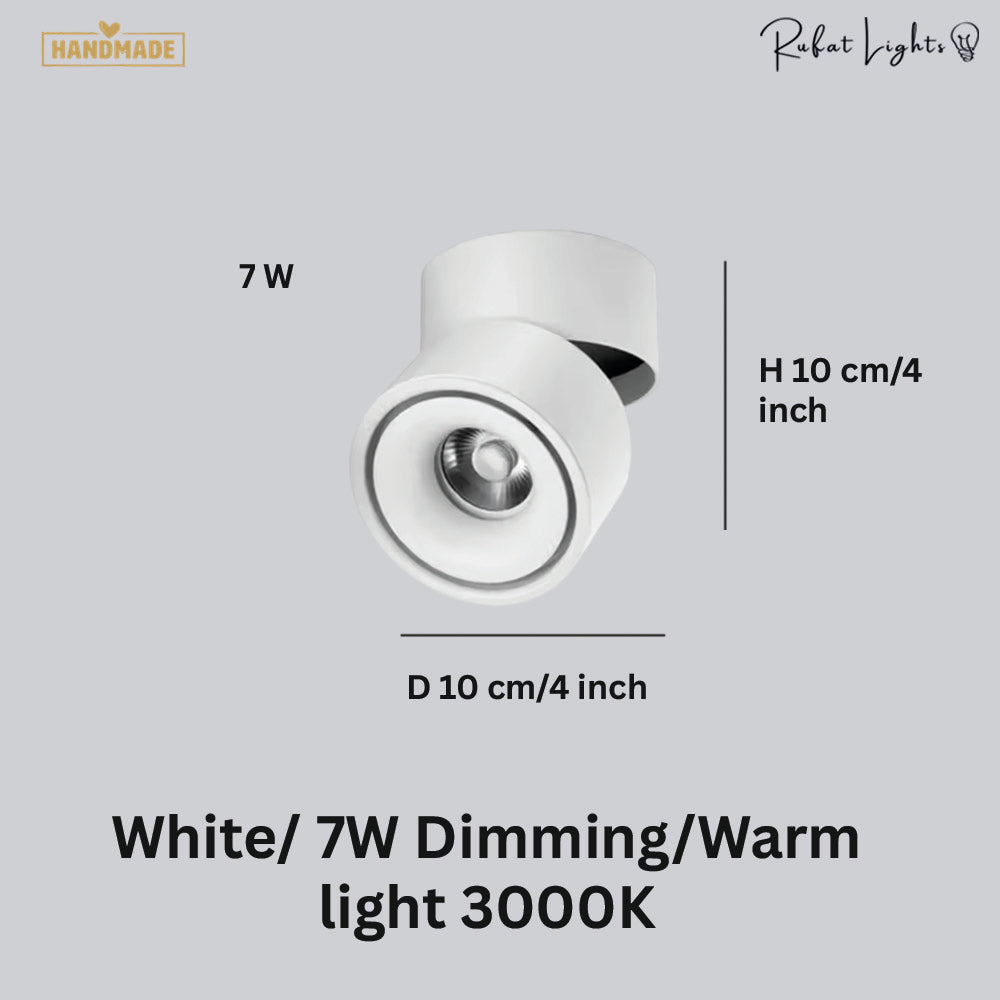 Dimmable Ceiling Light 360 Degree