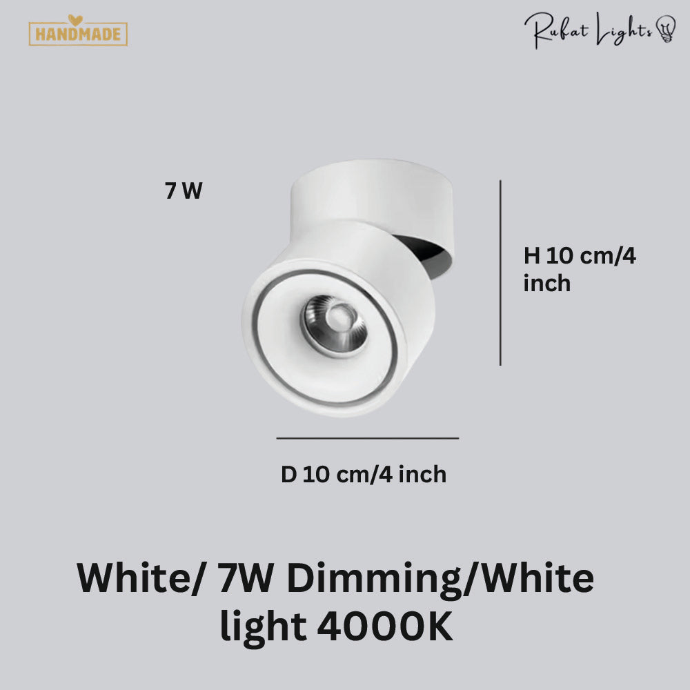 Dimmable Ceiling Light 360 Degree