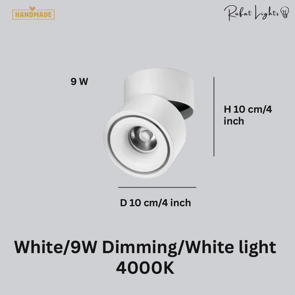 Dimmable Ceiling Light 360 Degree