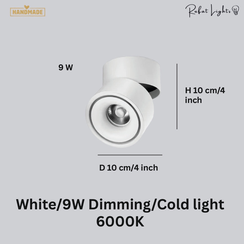 Dimmable Ceiling Light 360 Degree