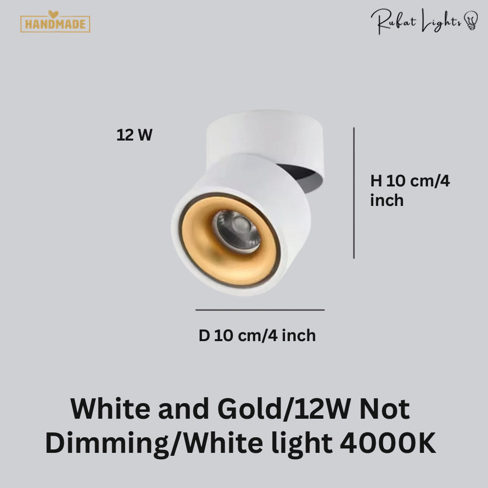 Dimmable Ceiling Light 360 Degree