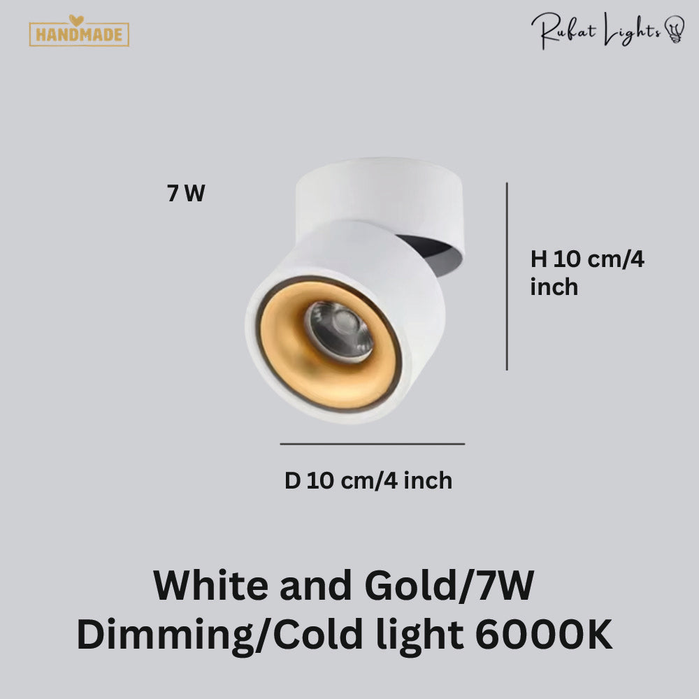 Dimmable Ceiling Light 360 Degree